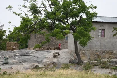 DSC_3112 (Large).JPG